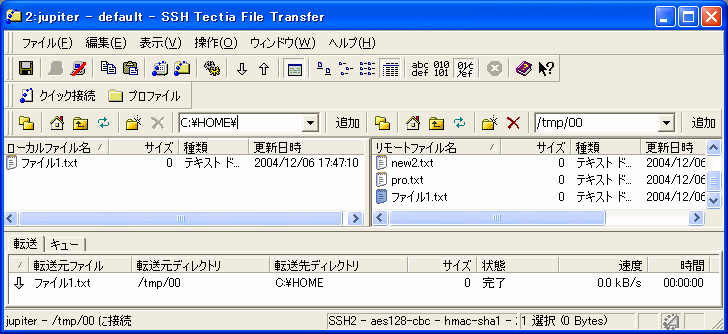 client-filetransfer-70.gif