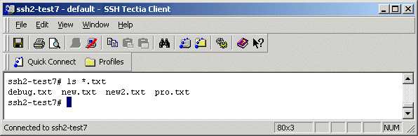 The SSH Tectia Client terminal window