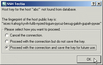 The host identification dialog – the first connection to a remote host