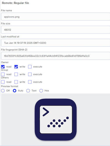 Properties and Preview page for a file