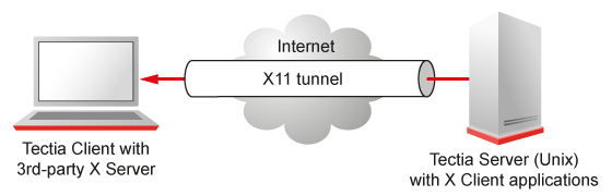X11 forwarding