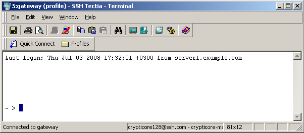 The SSH Tectia terminal window