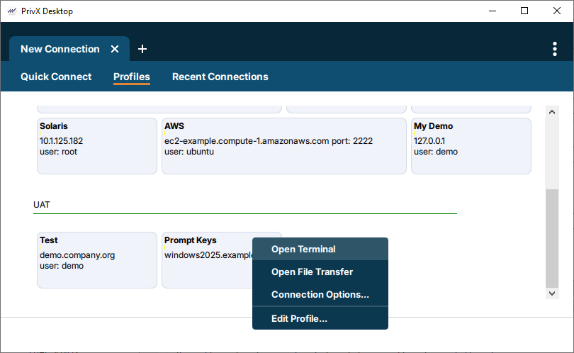 PrivX Desktop Profile Tiles