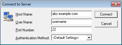 The Connect to Server dialog box