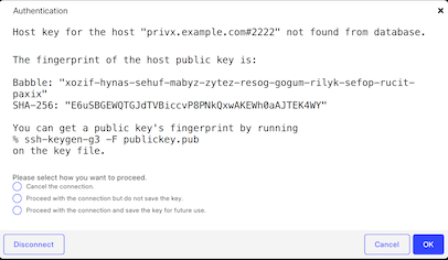 The host identification dialog – the first connection to a remote host
