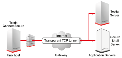 Transparent TCP tunnel securing Telnet connections