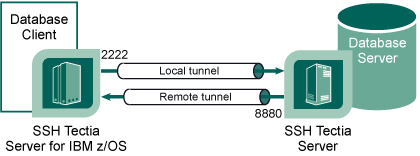 Tunneling database replication connections