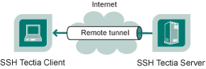Remote tunnel